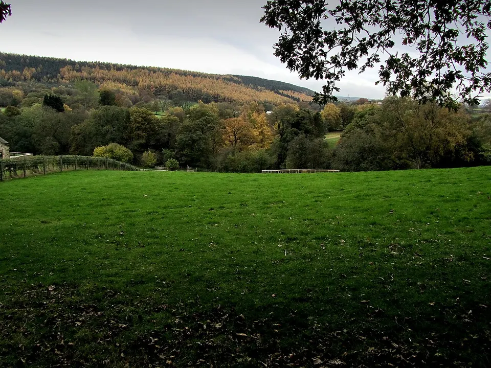 View over Harden Beck Valley - geograph.org.uk - 3737556 — Bradford, United Kingdom