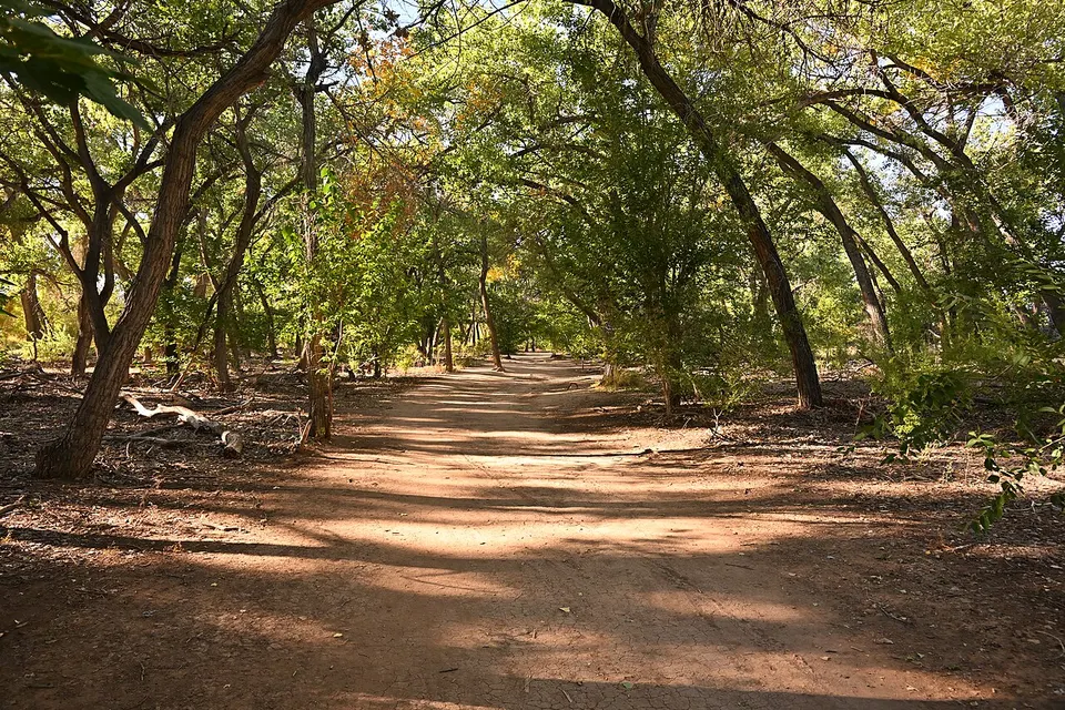 Rio Grande River Trail Albuquerque NM 2023-10-16 16-22-34 1 — Bernalillo, United States
