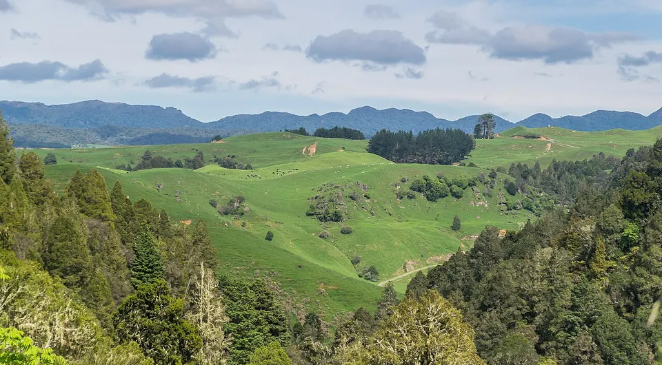 Landscape in Waikato Region 20 — Waitomo District, New Zealand