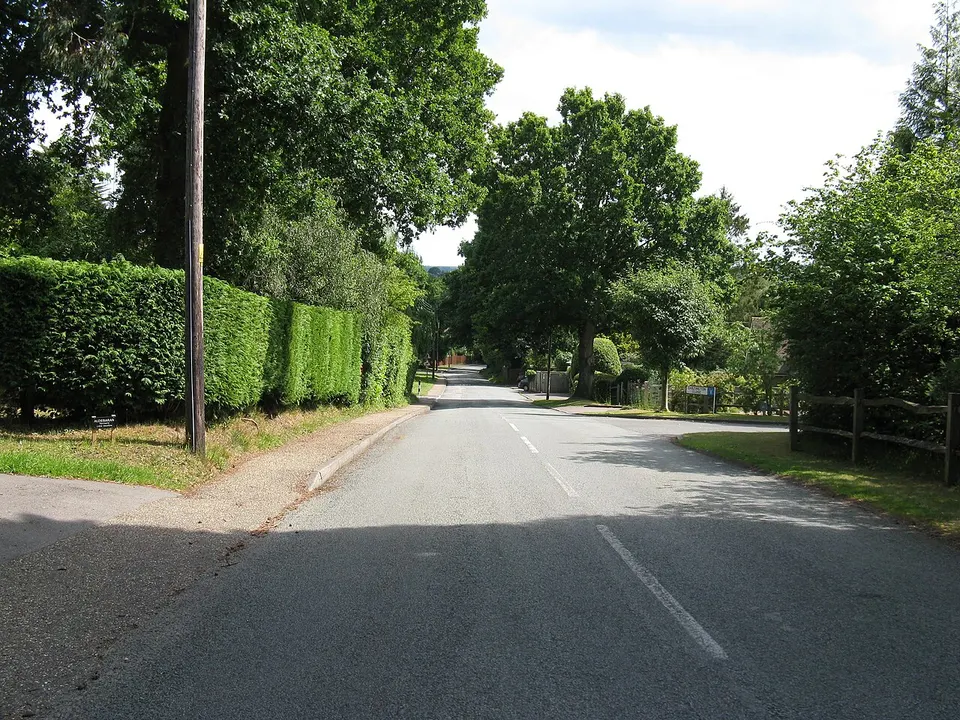 View south down Common Hill - geograph.org.uk - 2462108 — West Sussex, United Kingdom
