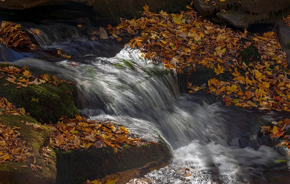 Rushing water in West Kill below Diamond Notch Falls, Spruceton, NY — Greene, United States