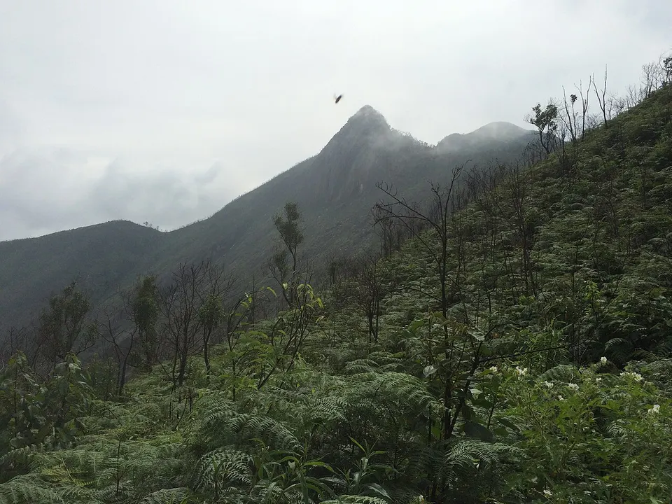 Araras, Petrópolis - RJ, Brazil - panoramio (23) — Petrópolis, Brazil