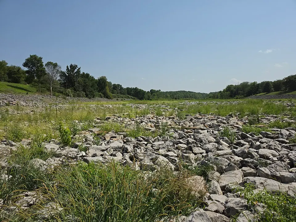 Rend Lake Dam overflow areas — Franklin, United States