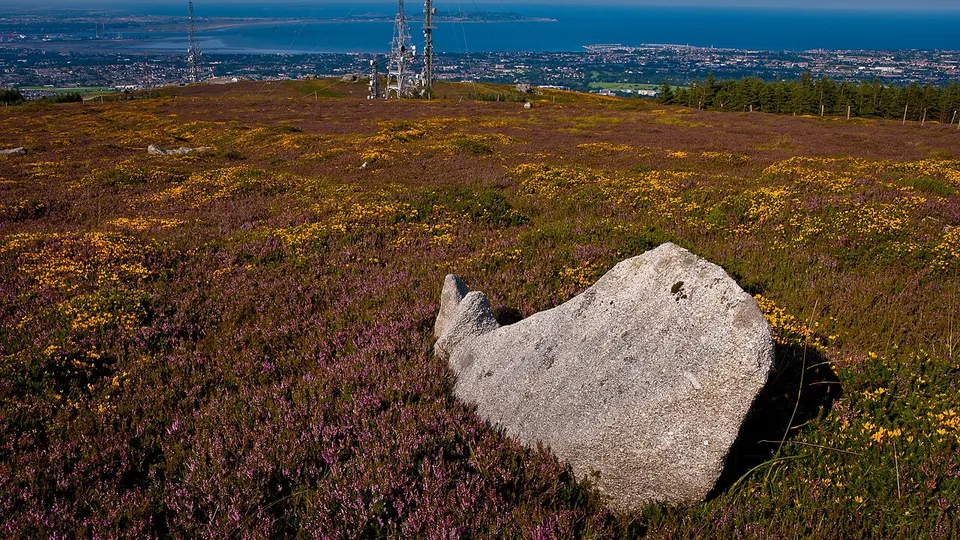 Standing Stone on Two Rock Mountain — GLENCULLEN-SANDYFORD LEA-7, Ireland