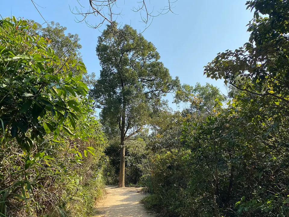 Hac Sá Reservoir Fitness Trail 23-02-2023(19) — Geographic area webv, Macao