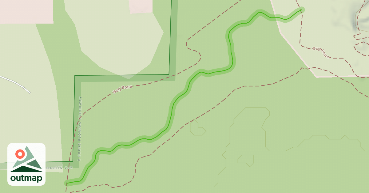 Map of Dog Catcher
