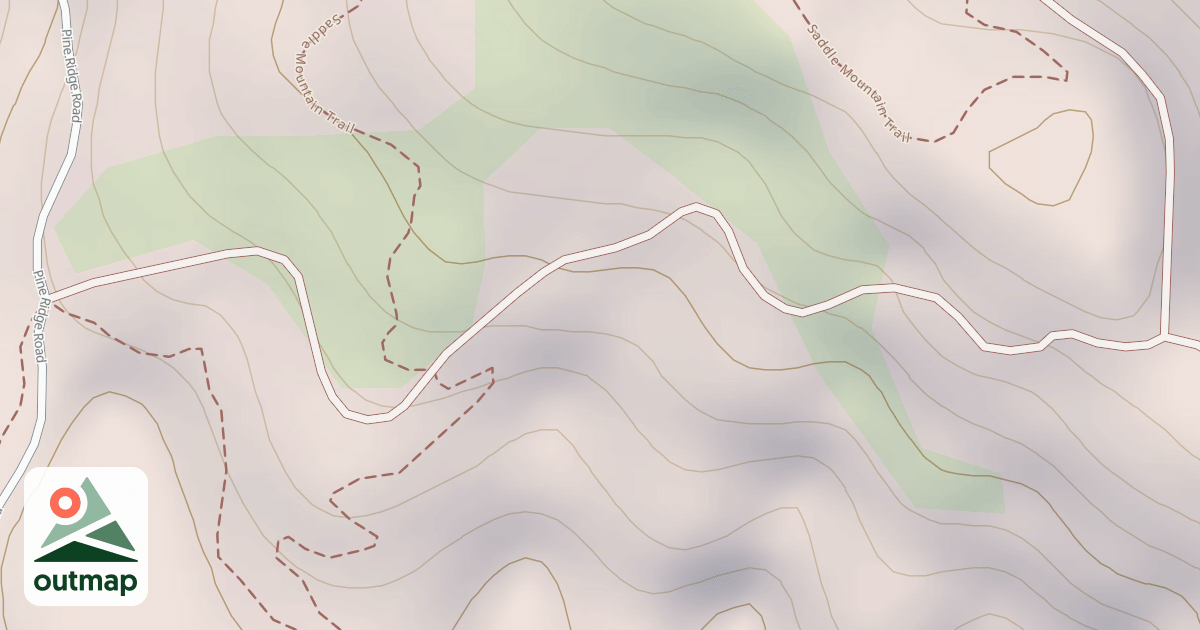Map of BLM National GTLF Public Motorized Roads a01024f9-0b7d-430e-a252-1f01437438dd