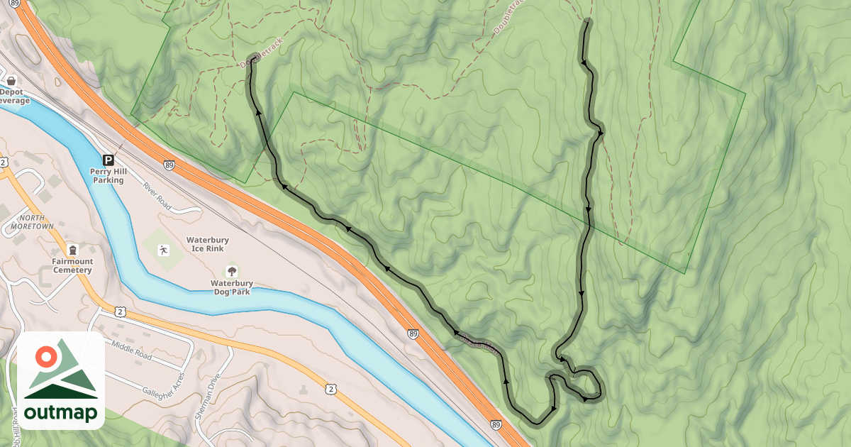 Map of Rasta Man