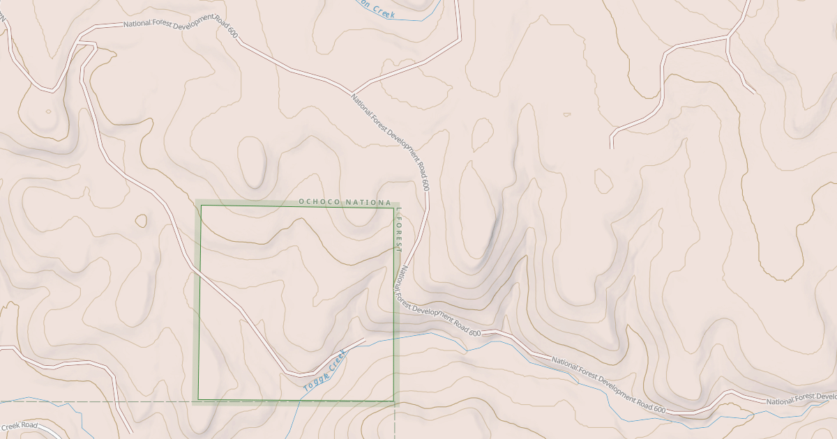 Map preview of USFS Motor Vehicle Use Map Roads {854808F2-37A2-42B3-8215-A29615AD2387}