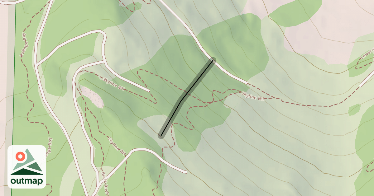 Map of 5 Trees