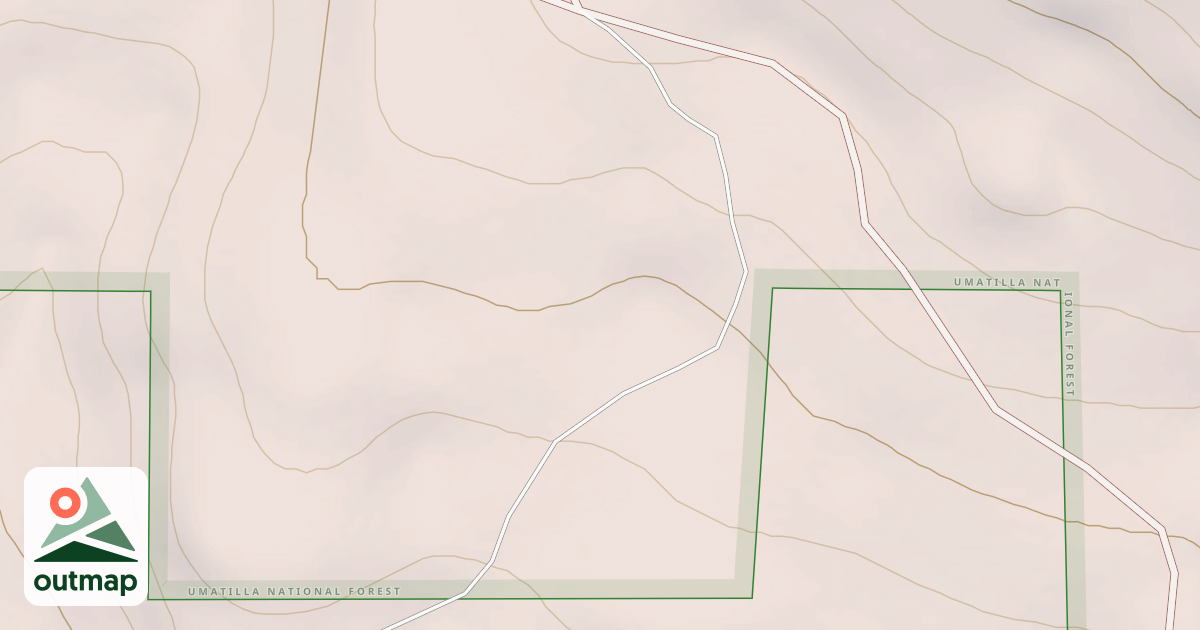 Map of USFS National Forest System Roads {02072598-2457-442E-82A7-F7894EFD9C19}