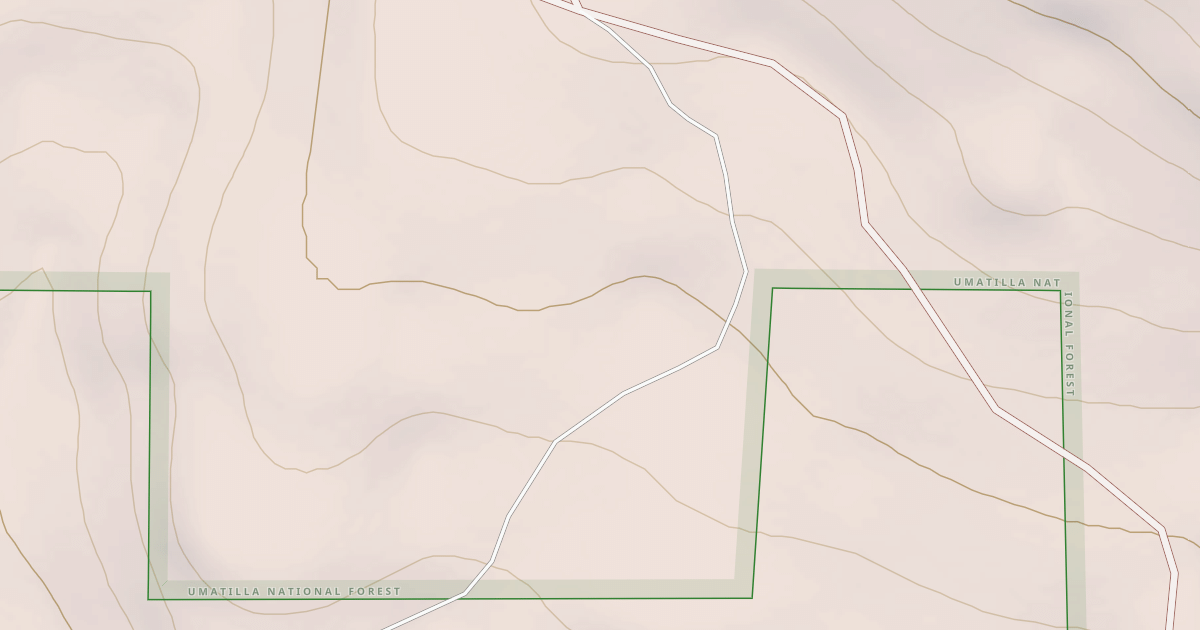 Map preview of USFS National Forest System Roads {02072598-2457-442E-82A7-F7894EFD9C19}