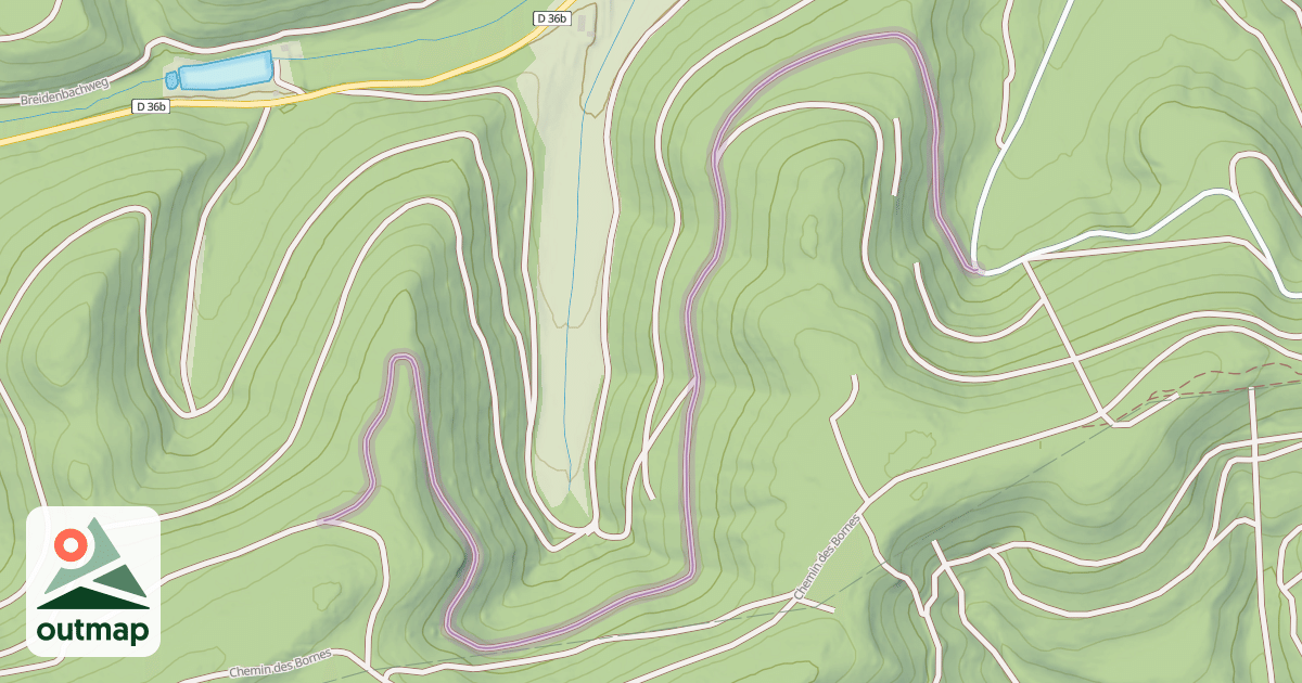 Map of Route Forestière Braconnier