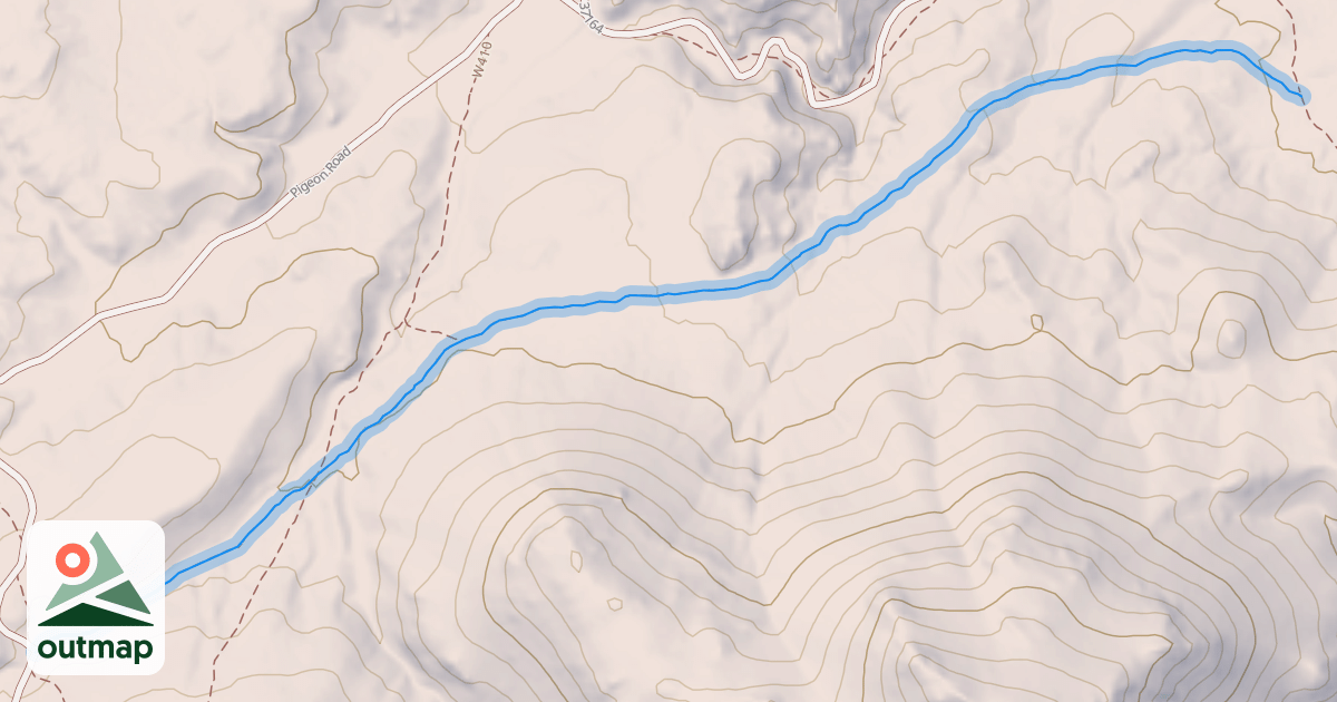 Map of W500 (Coprolite)