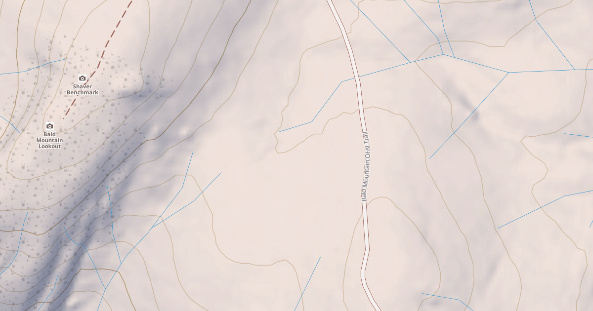 Map preview of BALD MOUNTAIN T29