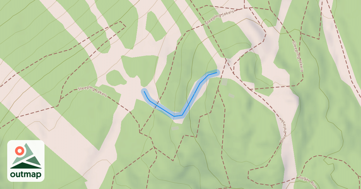 Map of Ralicki's Run