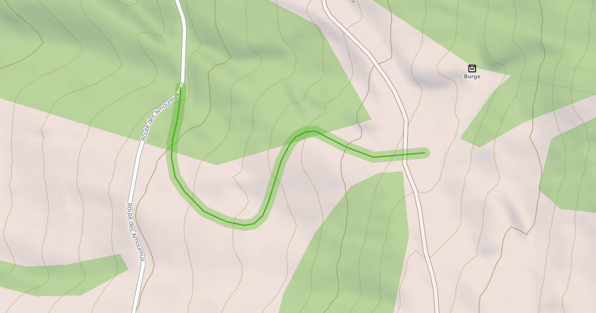 Map preview of Le S du Chamois