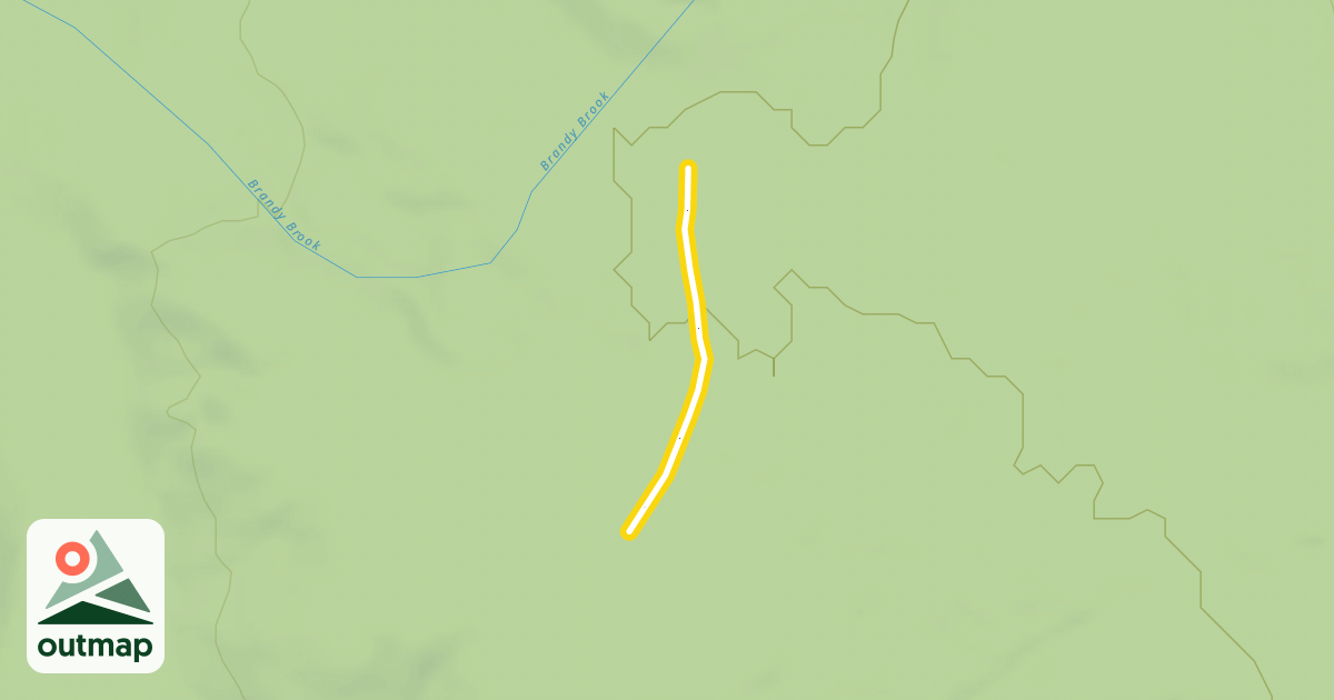 Map of Picnic
