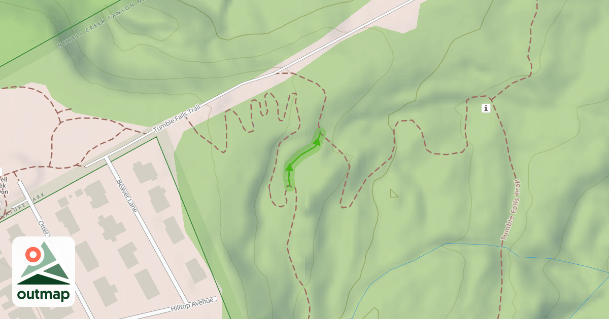 Map of Shady Lane