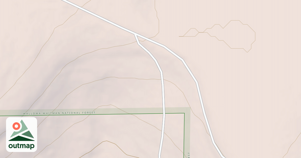 Map of USFS National Forest System Roads {192AF504-557C-4440-BCD3-474FC70E8A5F}