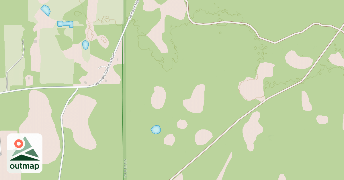 Map of USFS National Forest System Roads {3F81329F-CBBB-492C-89DC-E8A0816349D0}