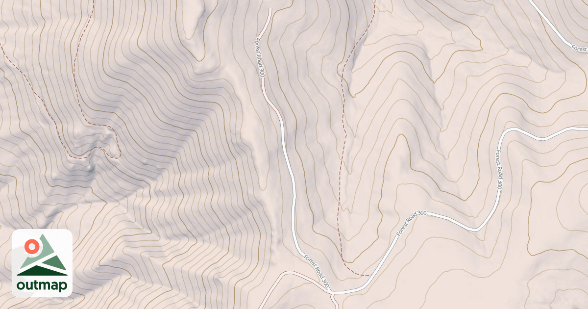 Map of USFS National Forest System Roads {6A2098C1-73F0-4057-99C2-935B0C7AB74A}