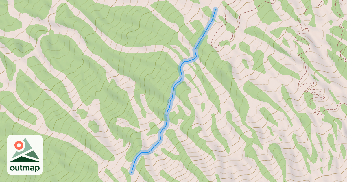 Map of 21 Road