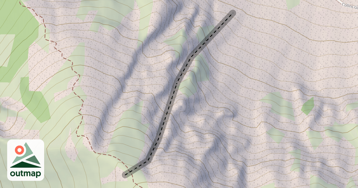 Map of Little Chute