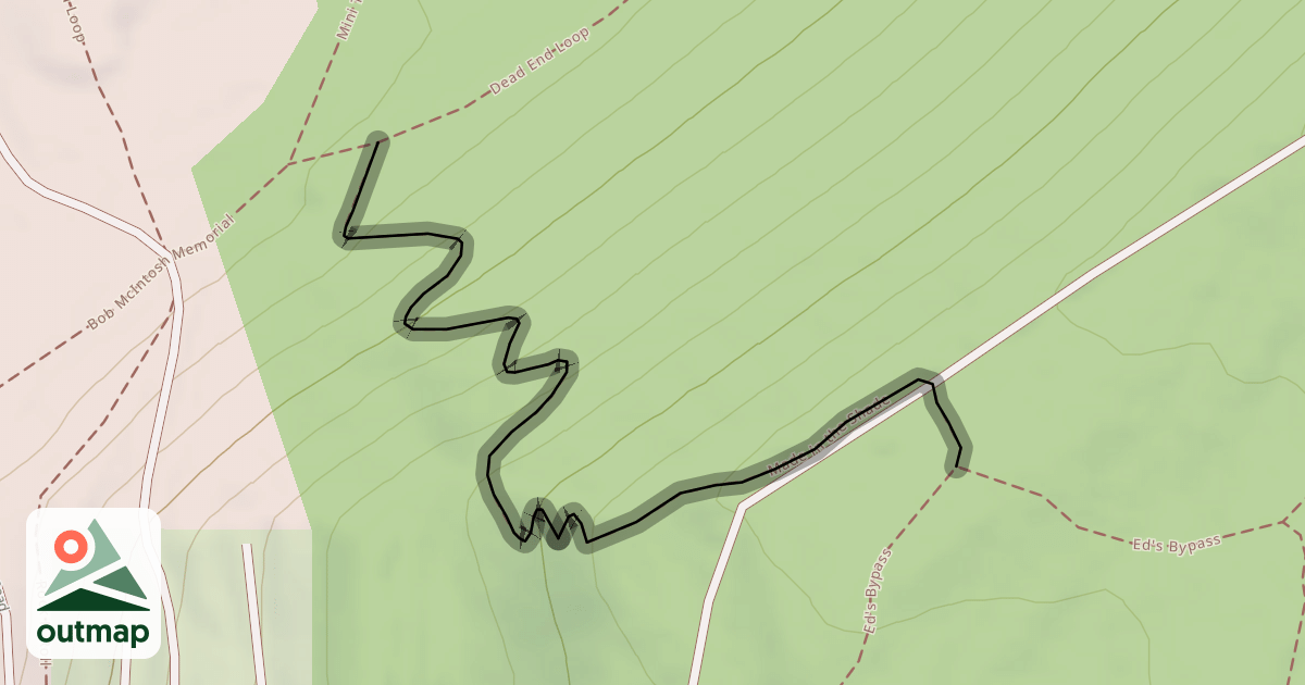 Map of Made in the Shade