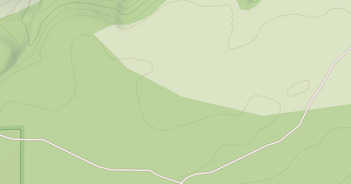 Map preview of USFS Motor Vehicle Use Map Roads {24A4BA49-E6A4-4CB0-8126-3DB4DA38DAA7}