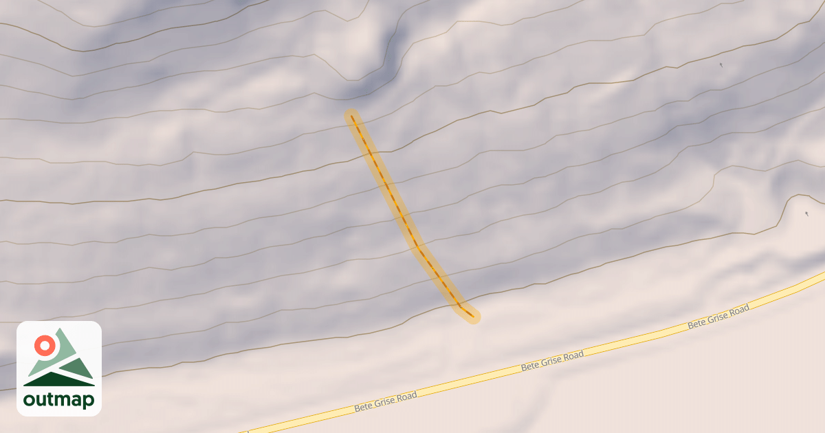 Map of Dark Forest