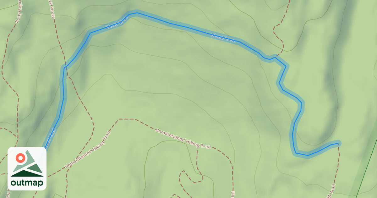 Map of Blood Root