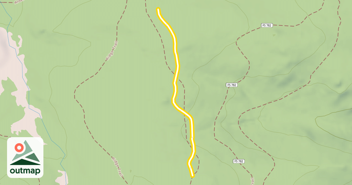 Map of Roller Coaster