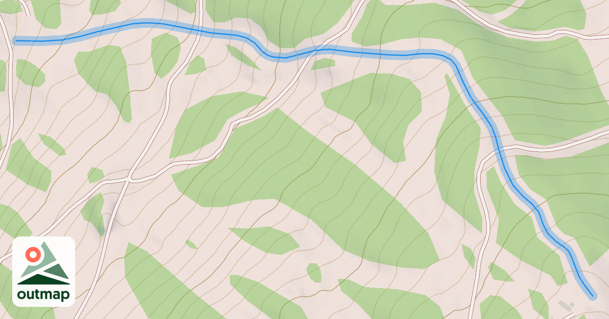 Map of Buzz Cut