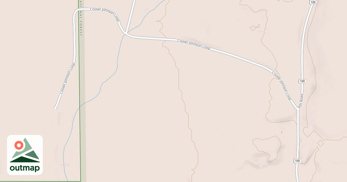 Map of USFS National Forest System Roads {42ECC05A-CDCB-43DA-B0BC-2580A2923111}
