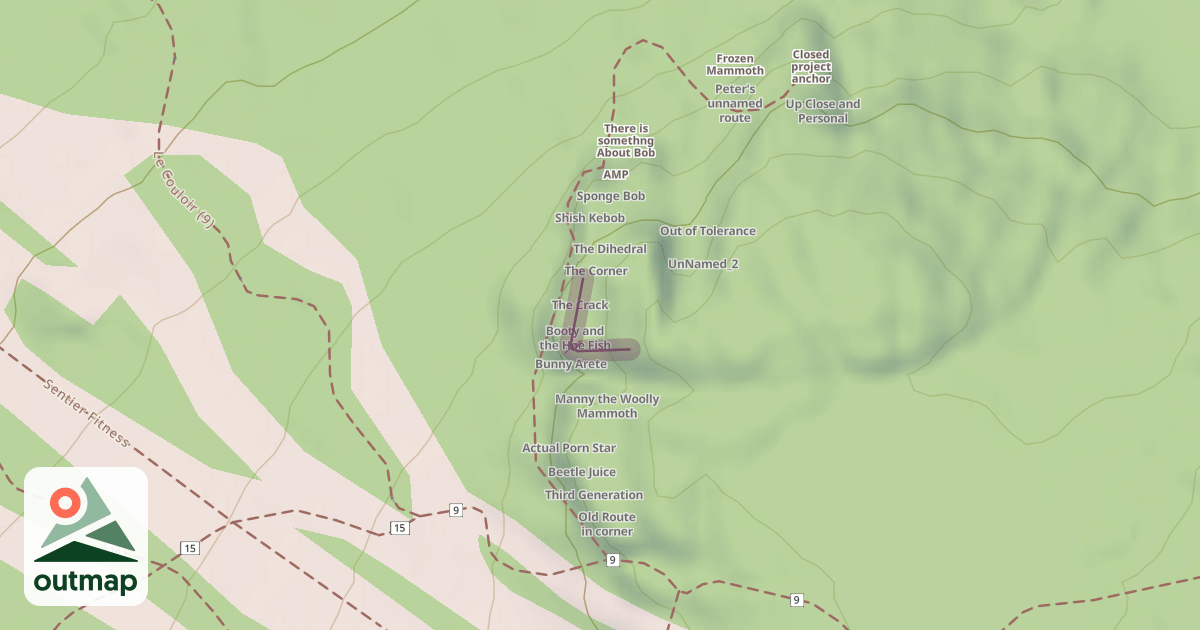 Map of Gully Left