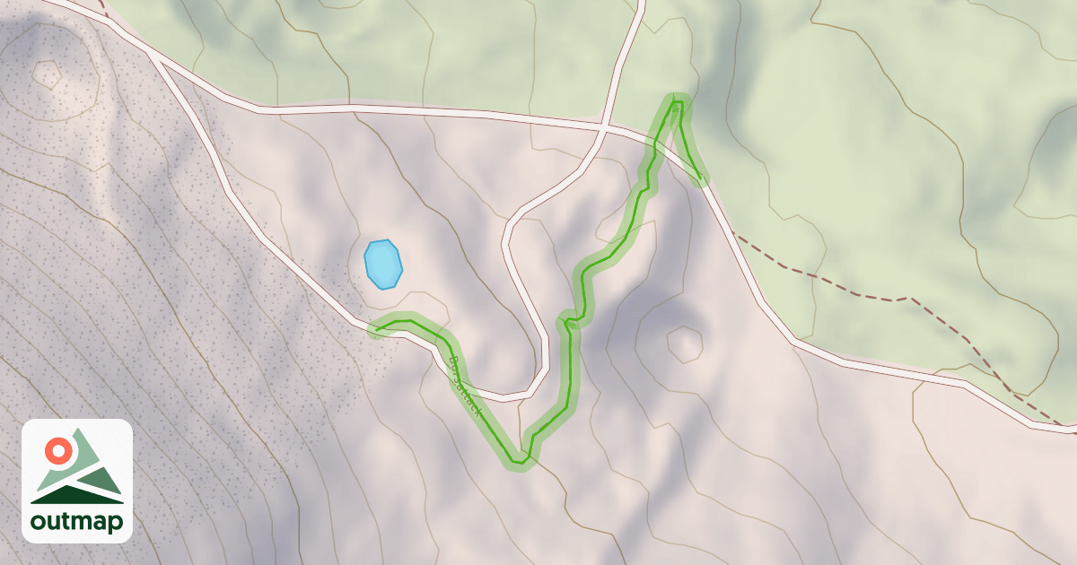 Map of Borsattack