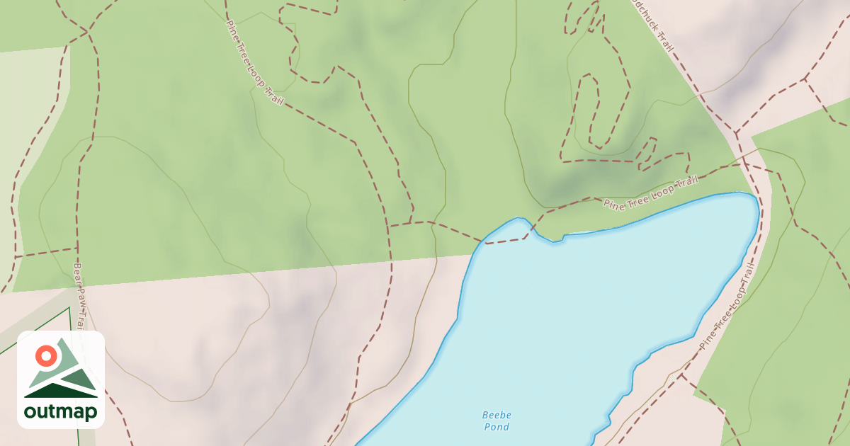 Map of Pine Tree Loop