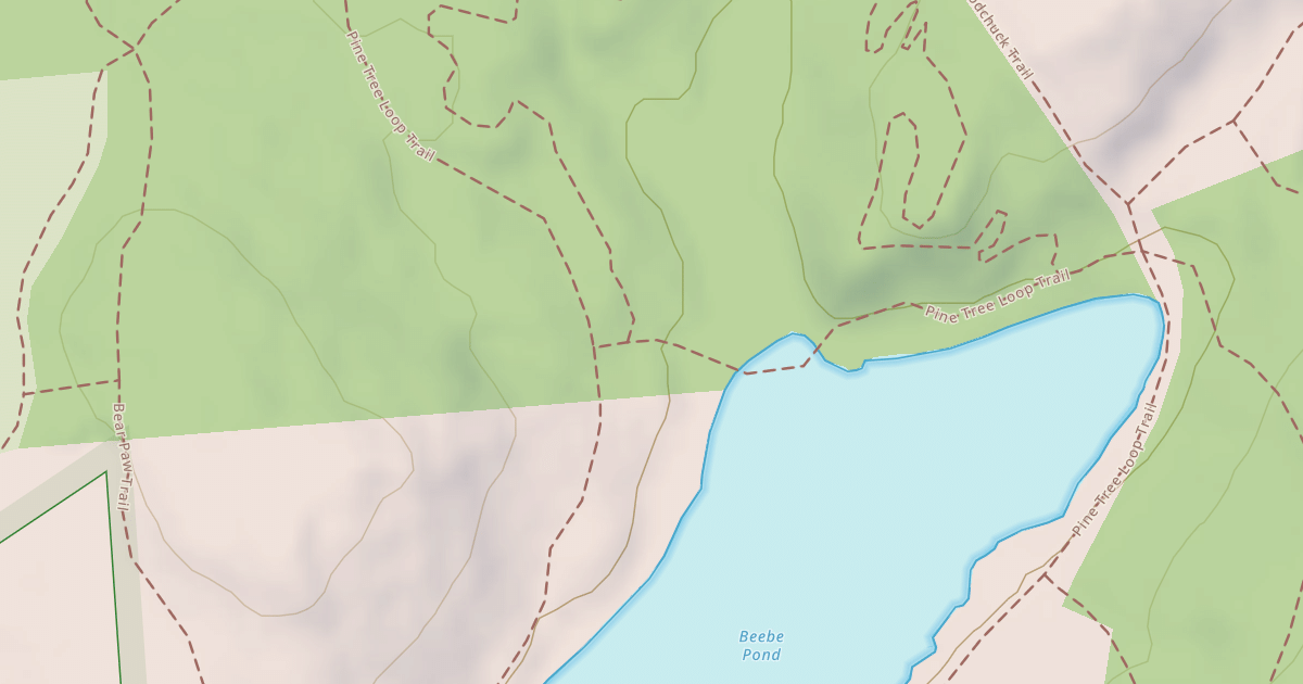Map preview of Pine Tree Loop