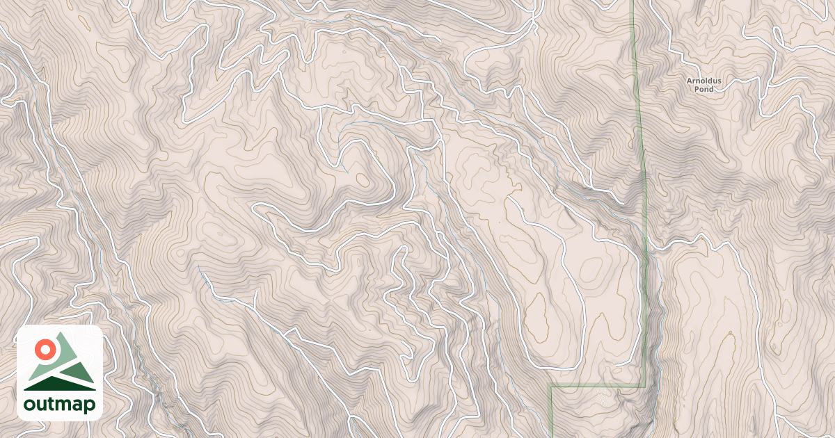 Map of USFS National Forest System Roads {CB8BD3DF-80AF-4D93-8378-5A651D2C645C}