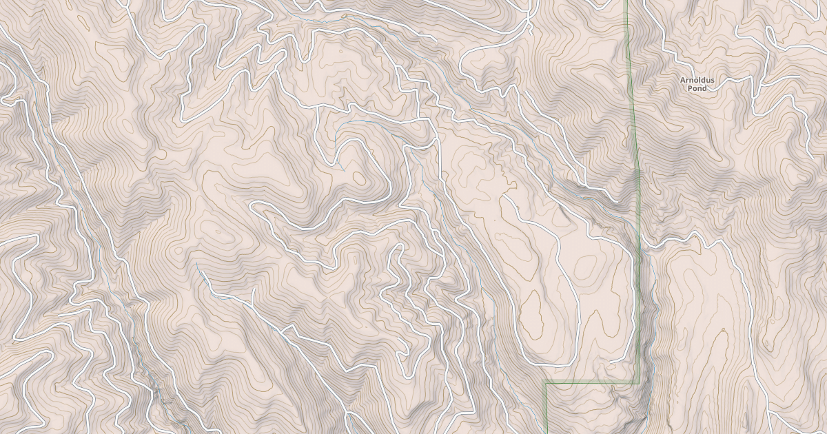 Map preview of USFS National Forest System Roads {CB8BD3DF-80AF-4D93-8378-5A651D2C645C}