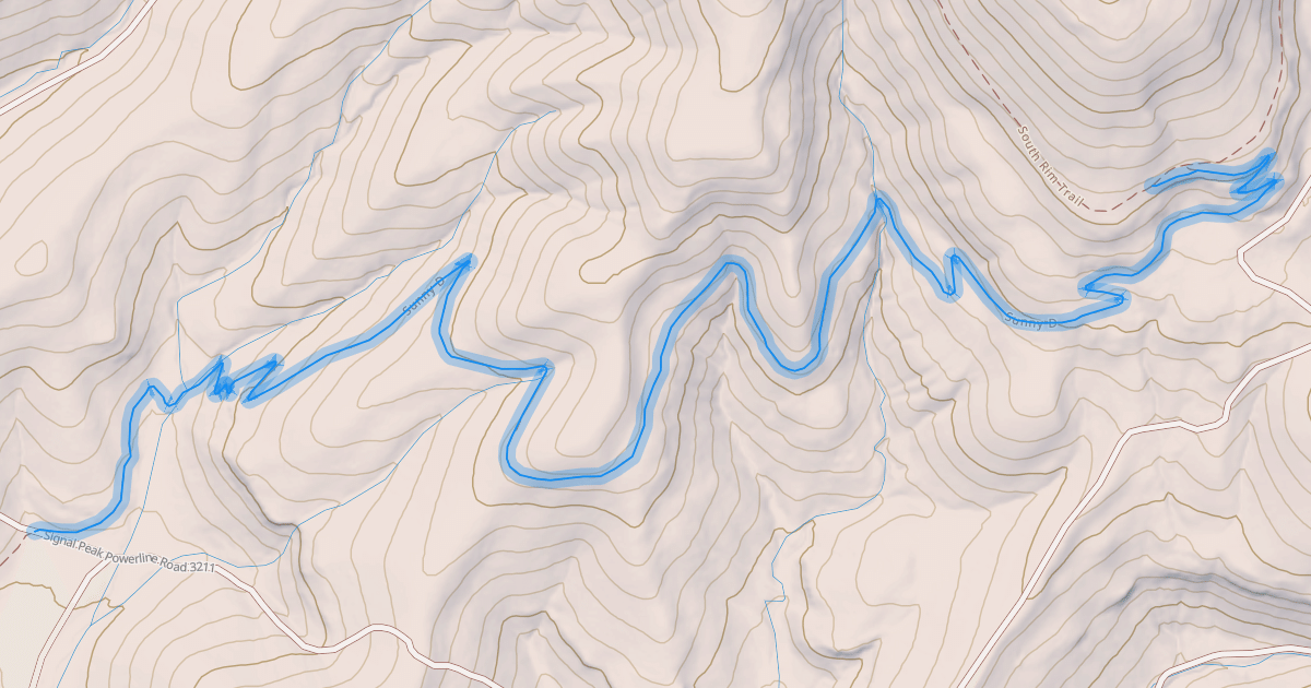 Map preview of Sunny D