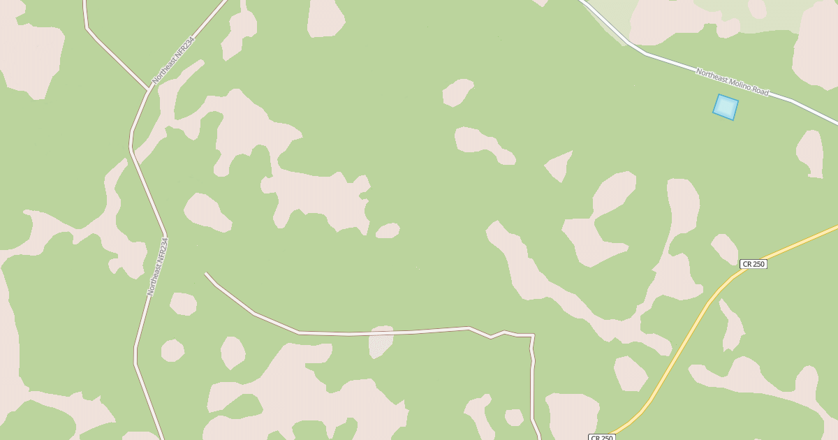 Map preview of USFS National Forest System Roads {A4E423CE-7DB2-4D2A-88C2-EC4F8C6CE767}