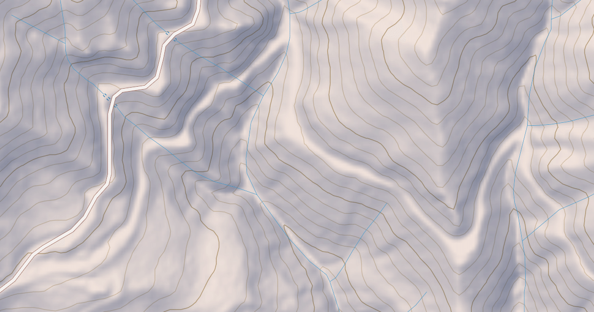 Map preview of USFS Motor Vehicle Use Map Roads {43310F96-DC31-46D7-AE00-326E73257ED3}