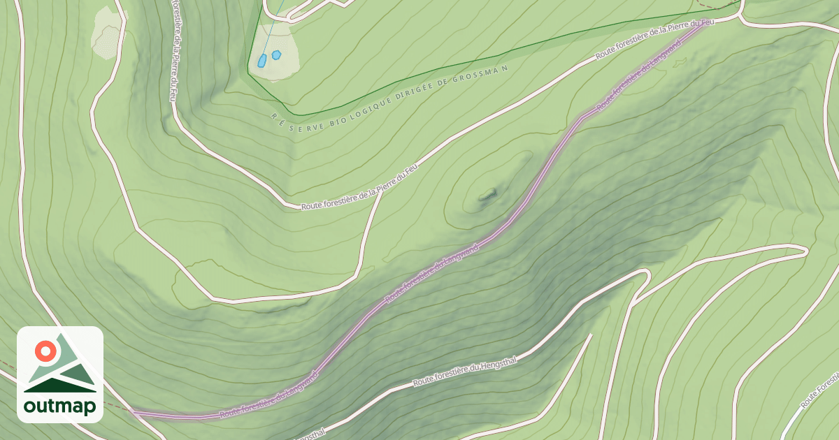 Map of Route forestière du Langwand