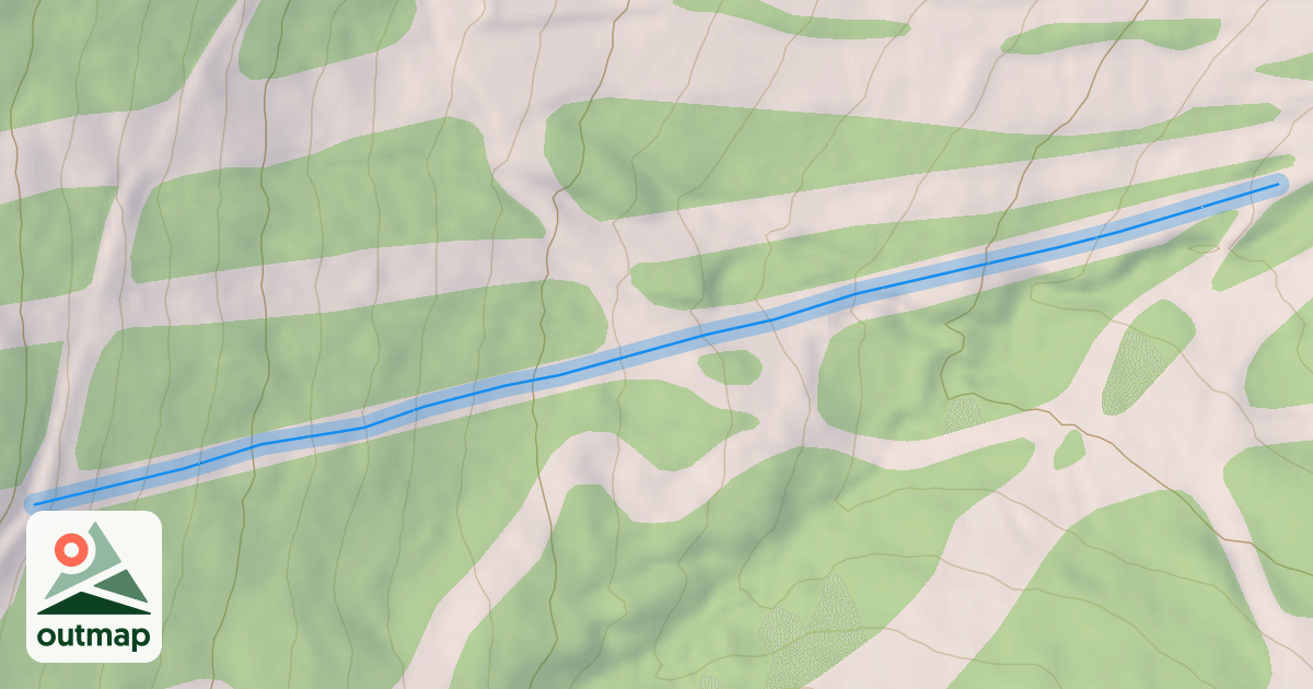 Map of Micky
