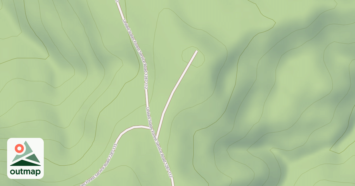 Map of USFS National Forest System Roads {CBBE3694-24EC-462A-A138-AD4D30C2B459}