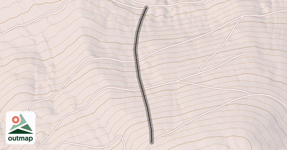 Map of Phineas Forest