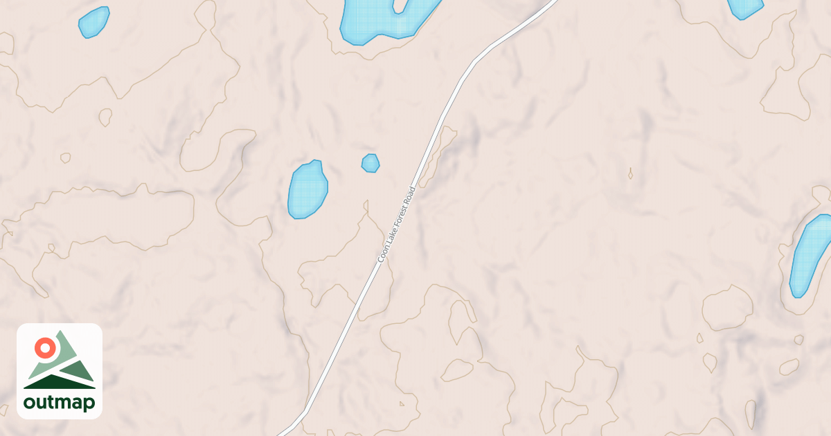 Map of Forest Riders Trails