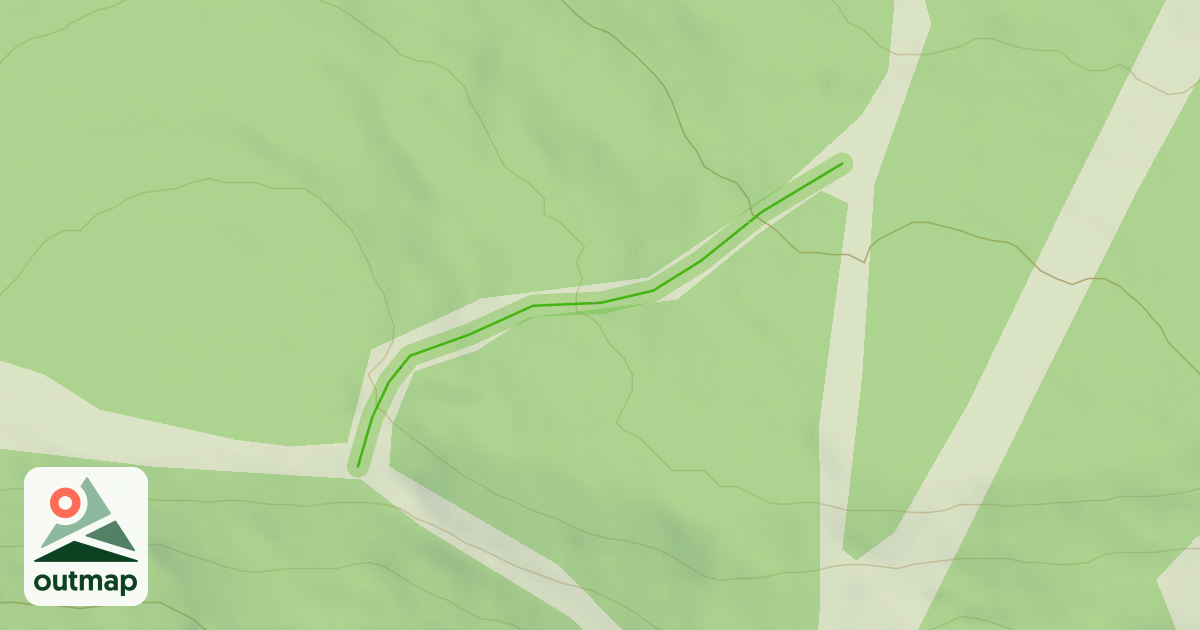 Map of The Loop